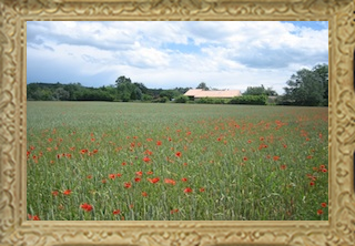 country around the site